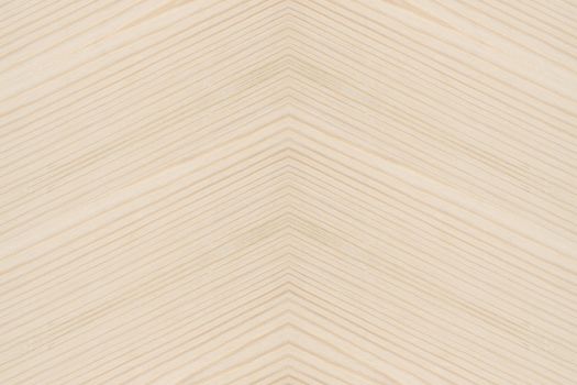 Background of wood texture closeup