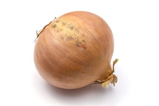 Onions isolated on white background 