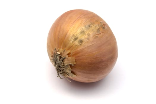 Onion isolated on white background 