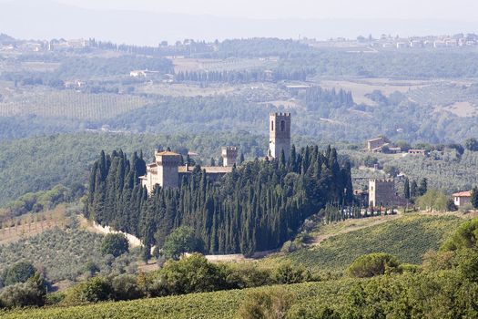 The ancient village and the vineyards
