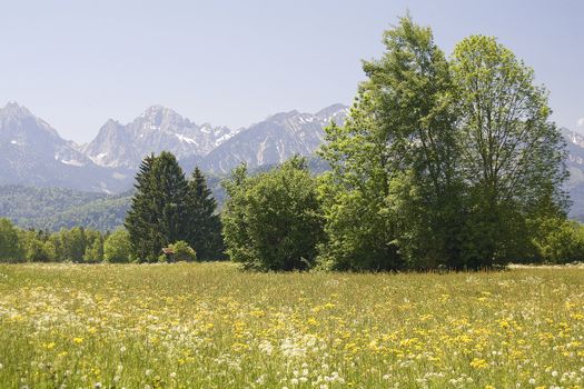 lovely panorama in the alps in Germany