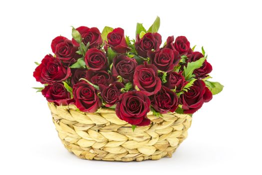 red roses in a basket