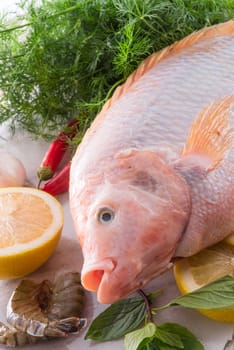 Freshness reddens the Nile Tilapia fish (Oreochromis niloticus)