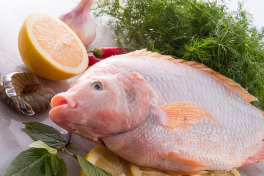 Freshness reddens the Nile Tilapia fish (Oreochromis niloticus)