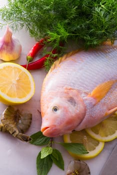 Freshness reddens the Nile Tilapia fish (Oreochromis niloticus)