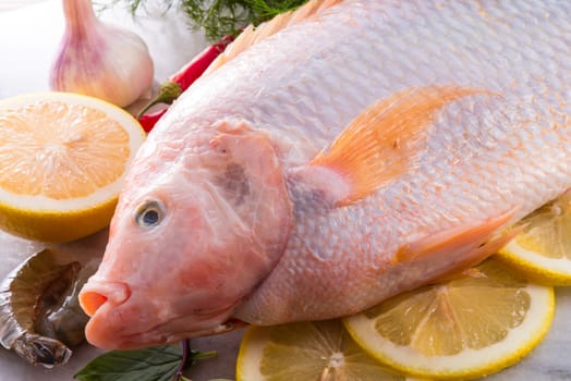 Freshness reddens the Nile Tilapia fish (Oreochromis niloticus)