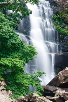 Beautiful waterfall and green maple tree in rain forest  at Thailand.