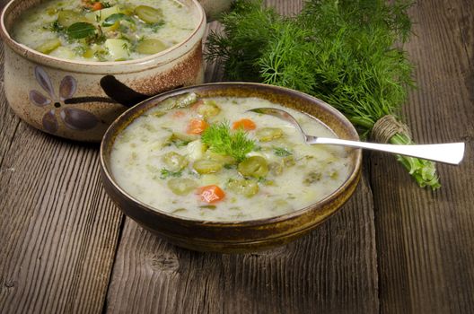 Polish pickled cucumbers soup