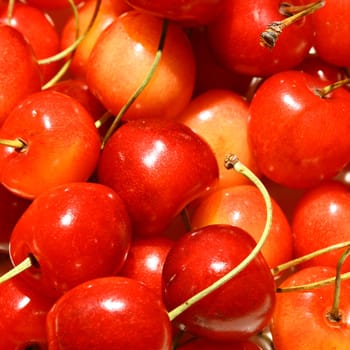 sweet red cherry macro close up