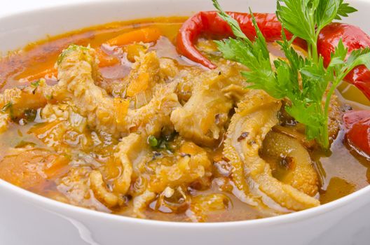 Traditional tripe soup