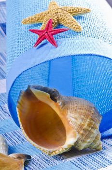 different mussel collection on blue background