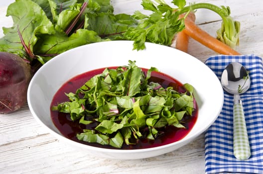 Vegetable soup from young, fresh sheets of the beetroot