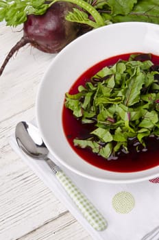 Vegetable soup from young, fresh sheets of the beetroot