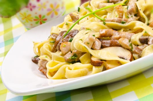 Tagliatelle with tail steak stripe and champignons