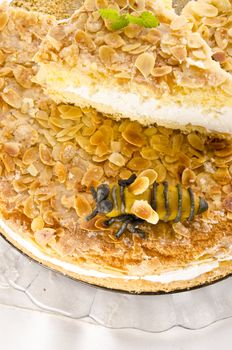 flat cake with an almond and sugar coating and a custard or cream filling