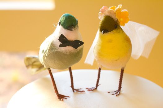 Showing the saying "birds of a feather stick together" this cake topper has two birds representing the bride and groom.