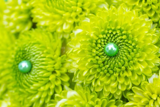 Green flowers are placed together with pins to create thie unique floral abstract.