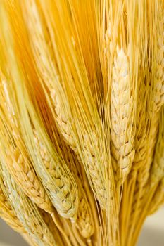 A bundle of wheat is wrapped and used for decor at a harvest style wedding.