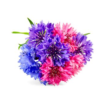 Bouquet of blue, pink and violet cornflowers isolated on white background