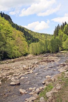 View of a mountain creek with a forest in the background