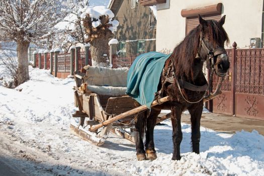 A horse-drawn wooden sleigh in the street