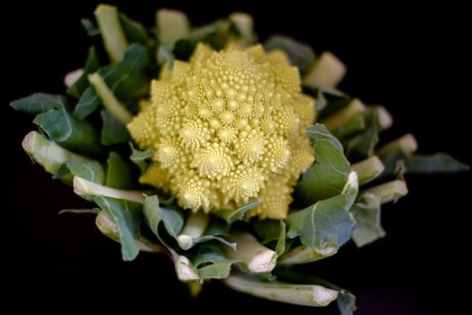 romanesco - italian broccoli cabbage close up on dark background