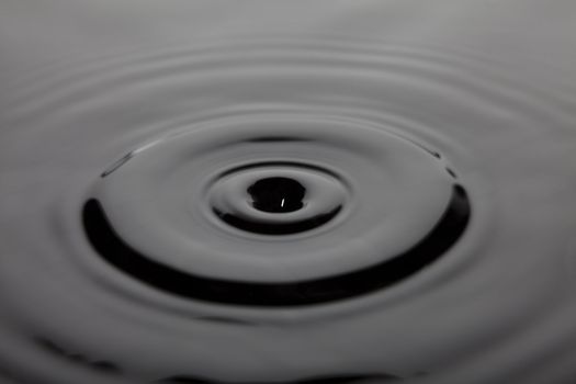 Motion of Circles on water