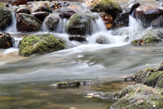 creek with rocks spring scene