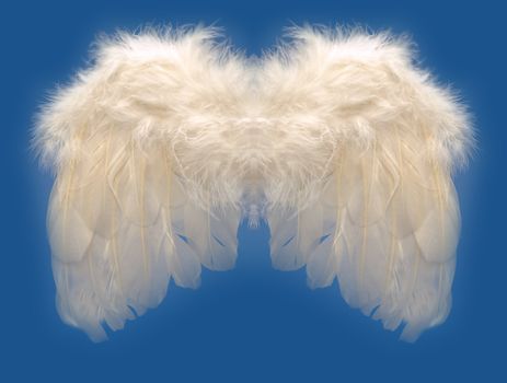 fluffy angel wings on blue background