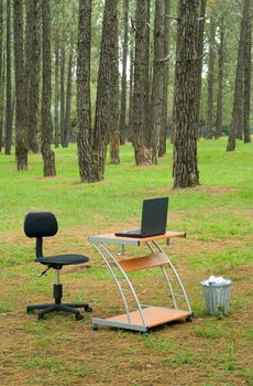 Office desk and laptop notebook, chair and wastepaper dustbin in green pine forest