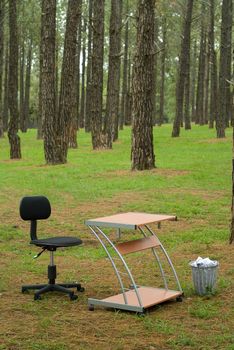 Office desk, chair and wastepaper dustbin in green pine forest