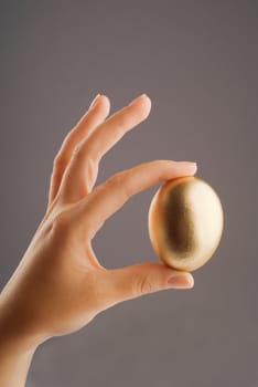 Hand holding single golden egg on grey background