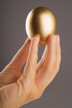 Hand holding single golden egg on grey background