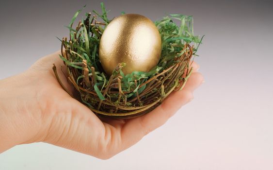 Golden egg in birds nest held by human hand