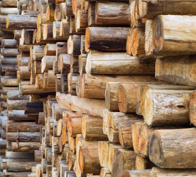 Stacked wood or timber in factory warehouse or storage area