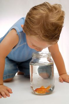 Toddler boy looking at goldfish in jar or bowl.