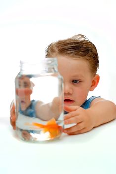 Curious young boy toddler looking and learning about goldfish in jar of water