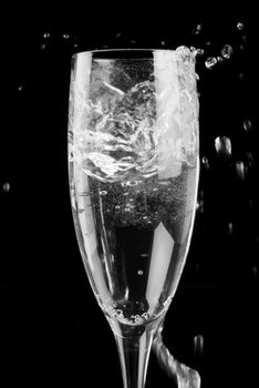 Single champagne flute filled with sparkling wine on black background
