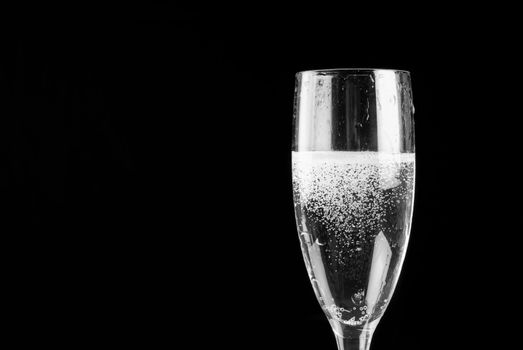 Single champagne flute on black background filled with sparkling wine