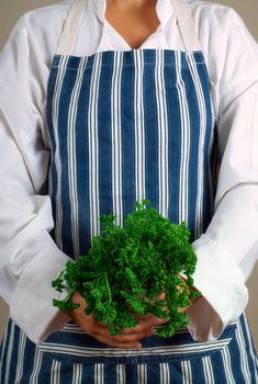 Woman cook or chef holding green parsley in her hands