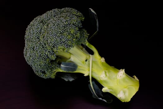 Fresh raw green broccoli on dark wooden table background