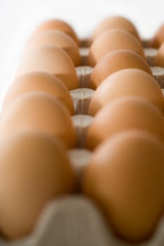 Row of eggs in box - straight row