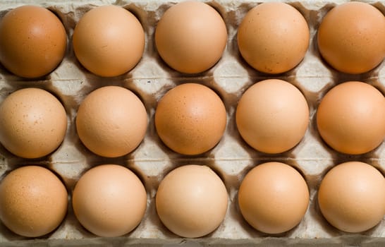 Row of eggs in box - top down view