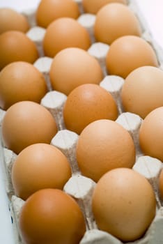 Row of eggs in box - top back and tilt view