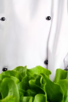 Chef Wearing Black and White Uniform Holding Fresh Butter Lettuce