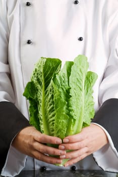 Chef Wearing Black and White Uniform Holding Fresh Cos Lettuce