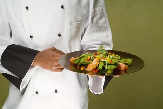 Close-Up of Chef Presenting Plate with Healthy Chicken Salad