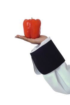 Studio isolated woman female chef hand with red pepper on white
