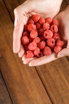 Woman chef hands holding a bunch or pile of raspberries over wooden table