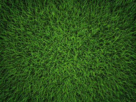 Green grass field background. Top view, 3d render
